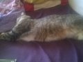 WP_20160204_001.jpg